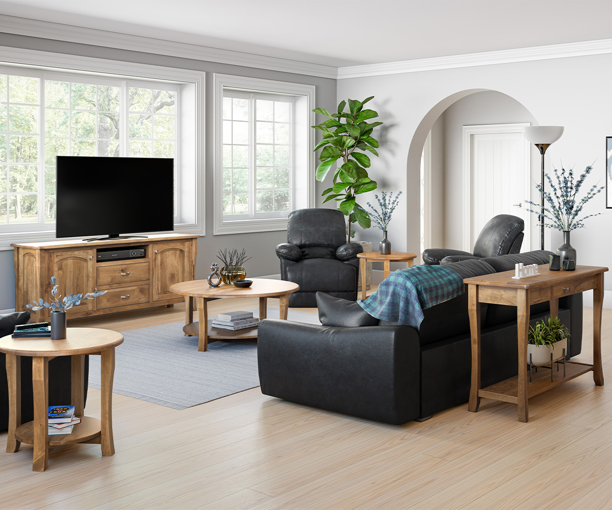 Berkley Open Media Console - Image 2